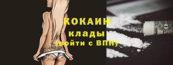 дурь Арсеньев