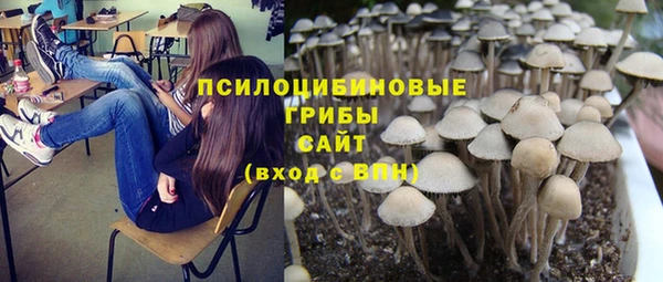 дурь Арсеньев