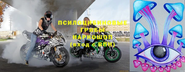 дурь Арсеньев