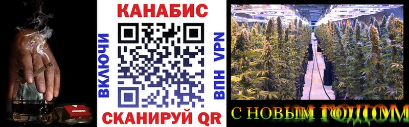 Купить  Сусуман  Канабис White Widow 